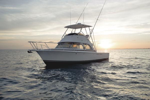 Bertram 35 Boat soundproof